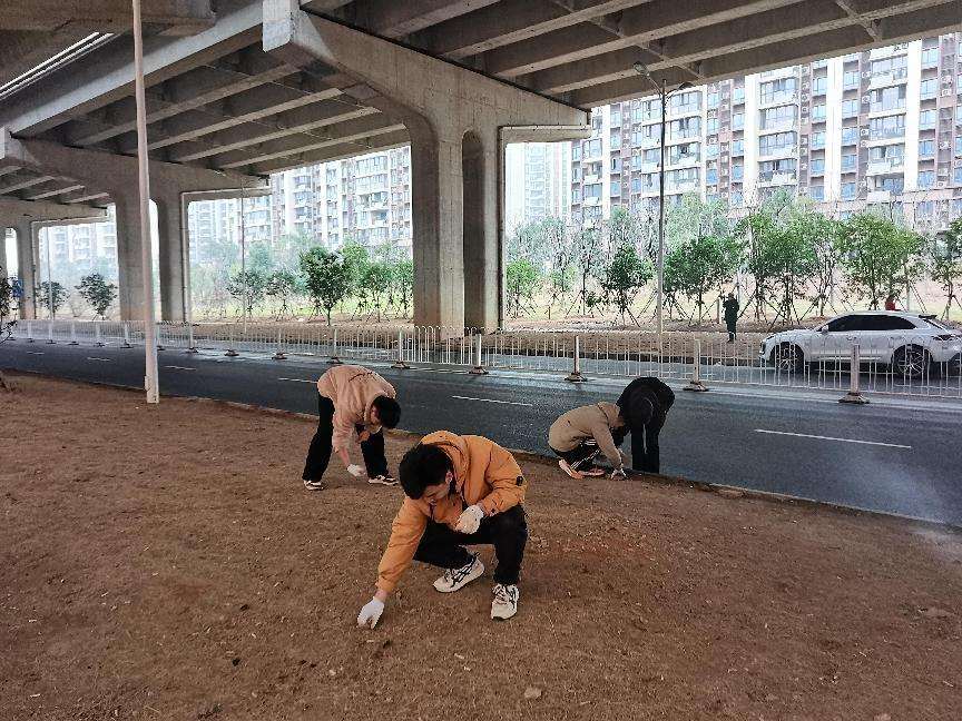 图片3.png 图片3.png